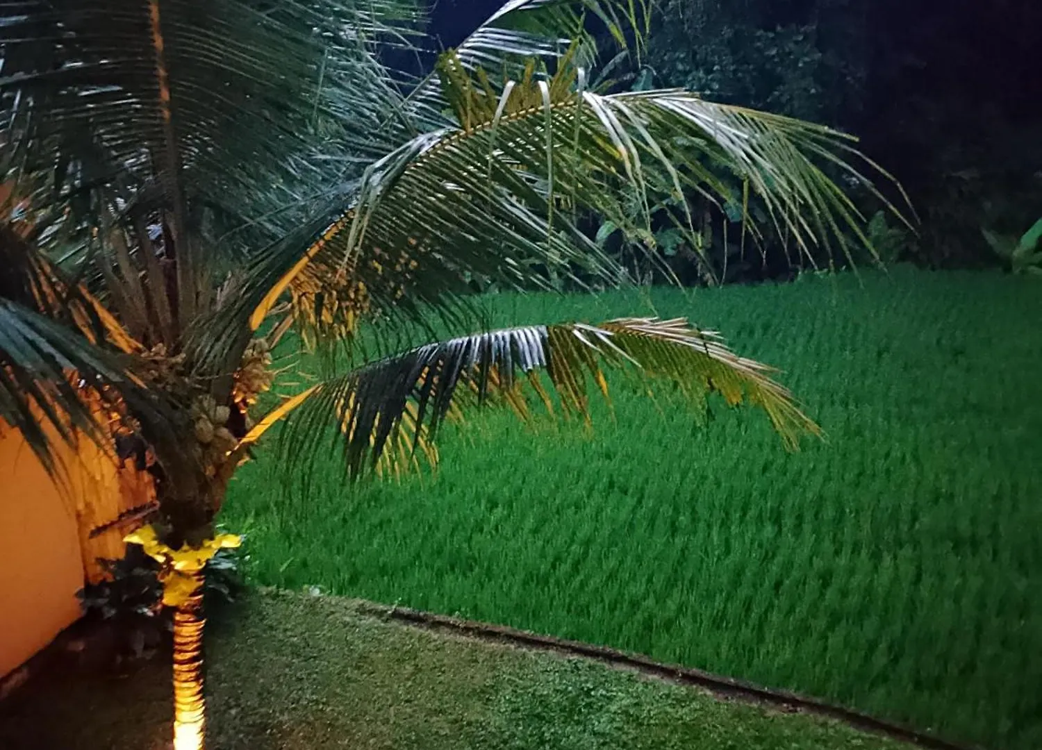 Villa Ghansa Ubud  Ubud (Bali)
